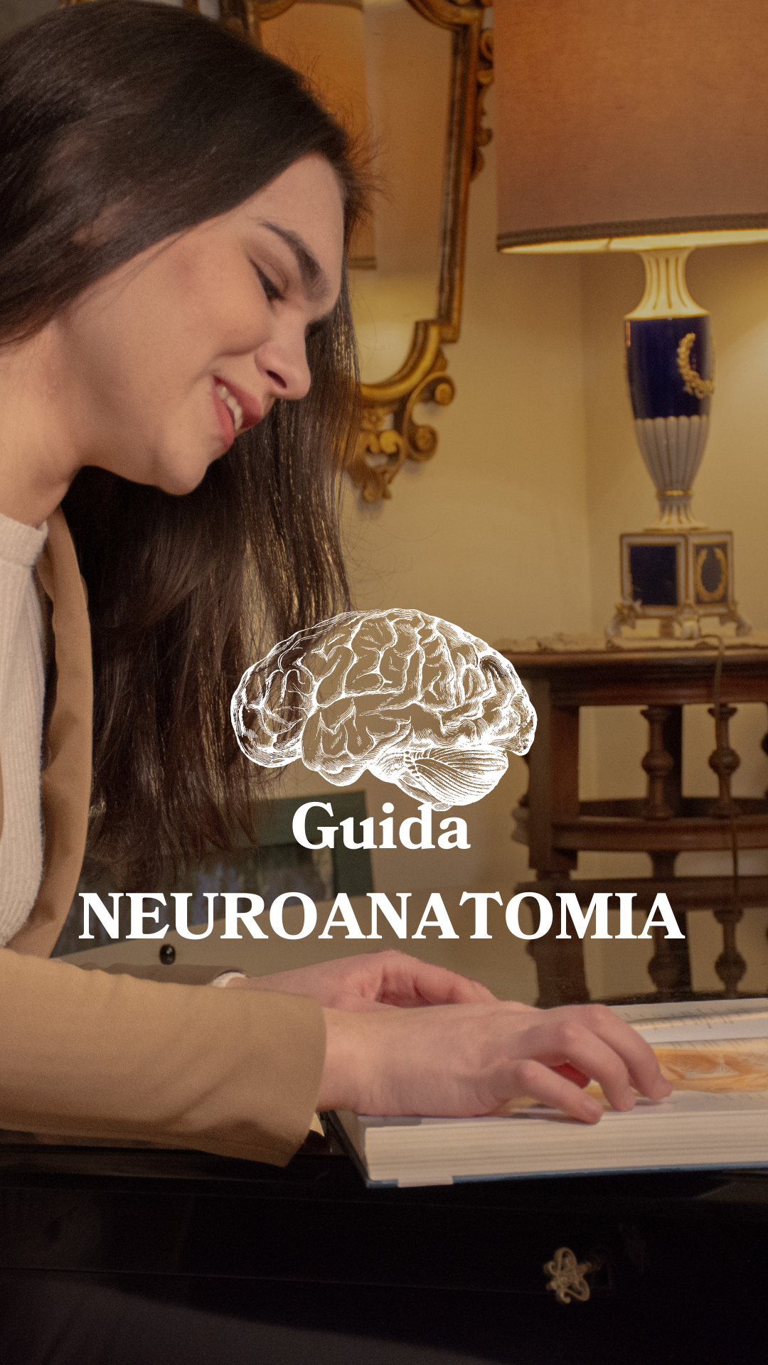 Guida Neuroanatomia: come capirla e non buttare il Netter giù dalla finestra